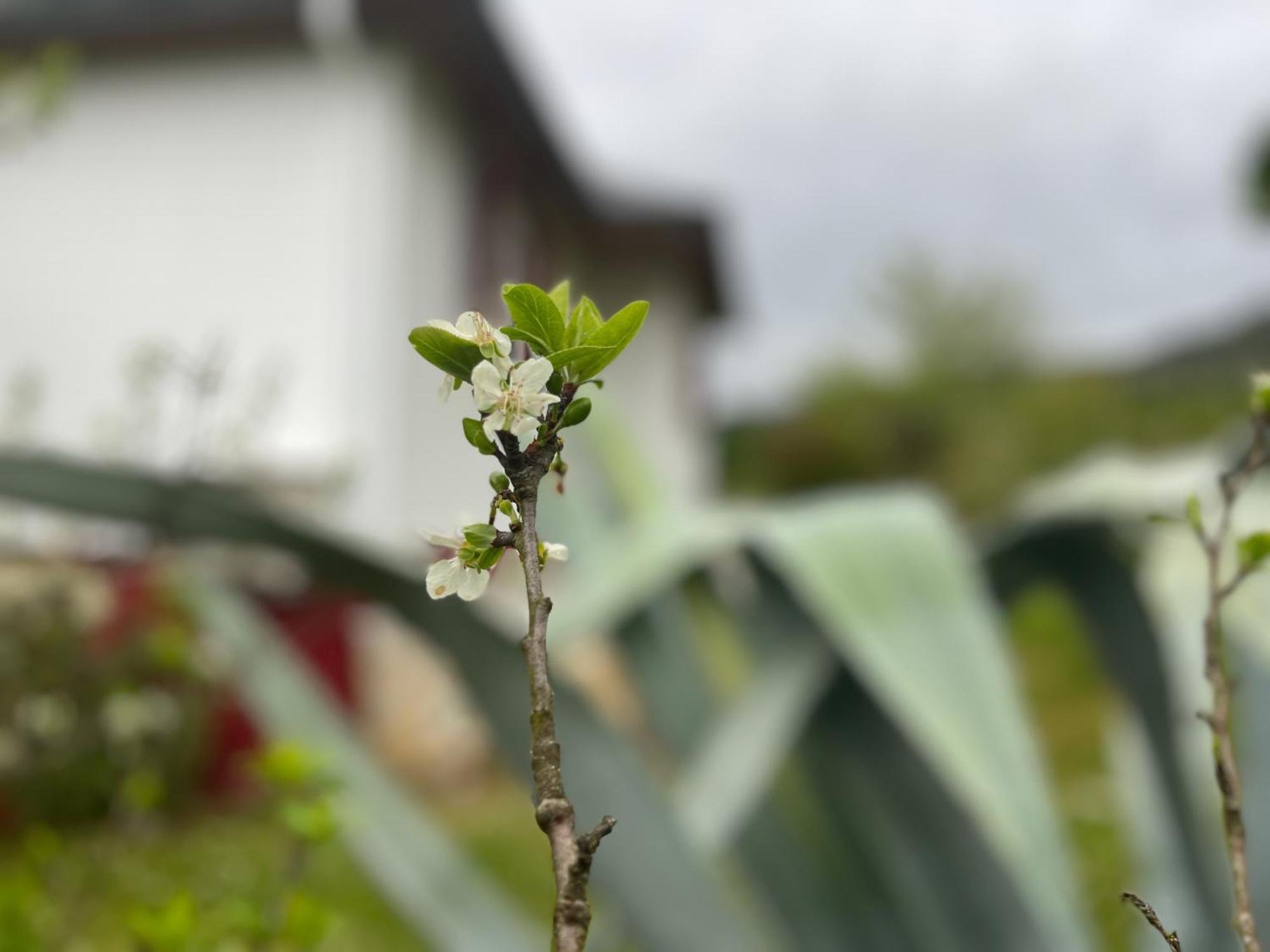 A Casina - En La Ribeira Sacra, Galicia Séjour chez l'habitant *